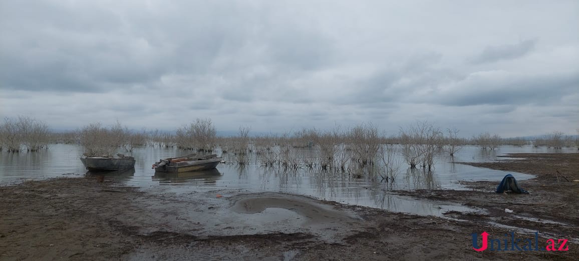 Kürdə batan balıqçıların axtarışları davam etdirilir - FOTOLAR